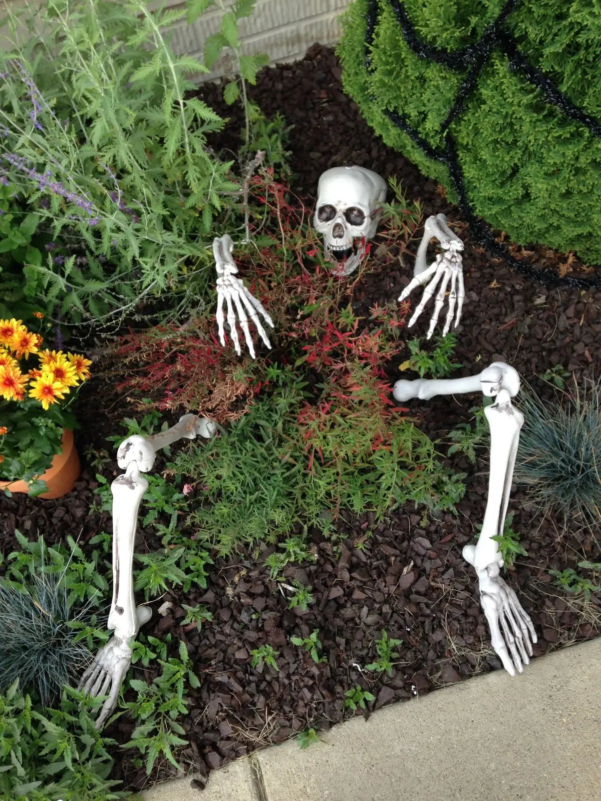 Spooky Skeleton Garden Stakes