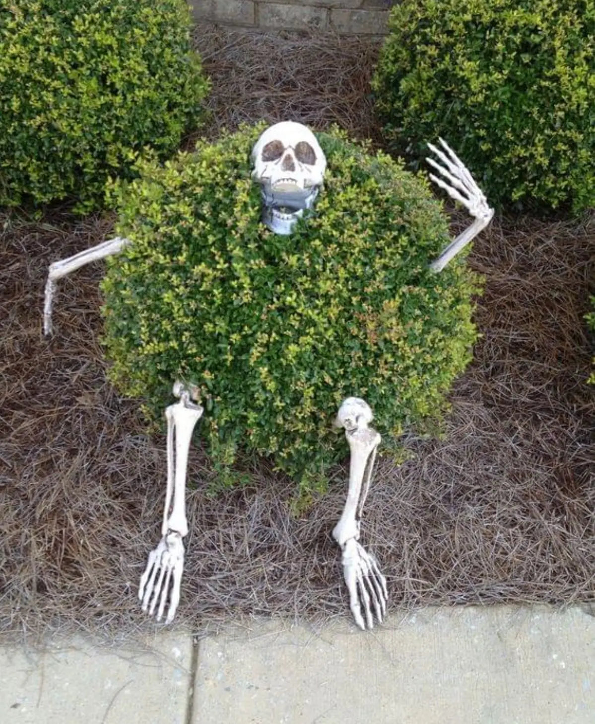 Spooky Skeleton Garden Stakes