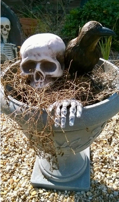 Spooky Skeleton Garden Stakes
